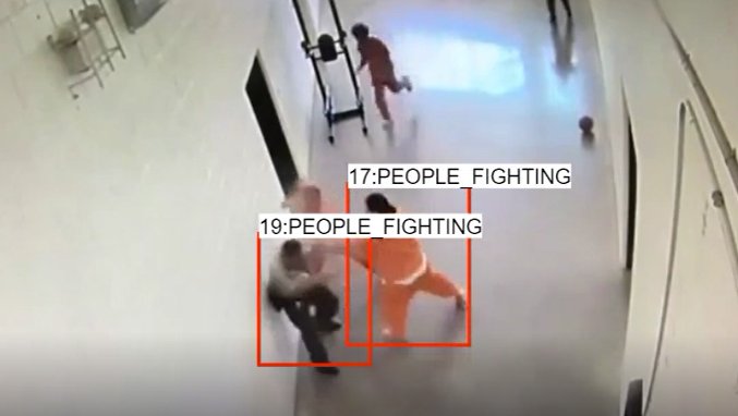 Fight Detection System